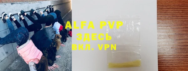 индика Верея