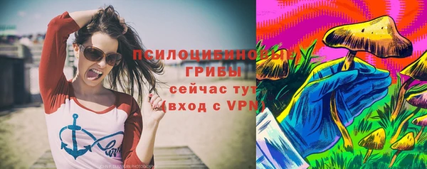 индика Верея