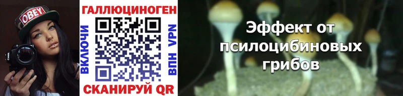 blacksprut ТОР  Дмитриев  Галлюциногенные грибы MAGIC MUSHROOMS 