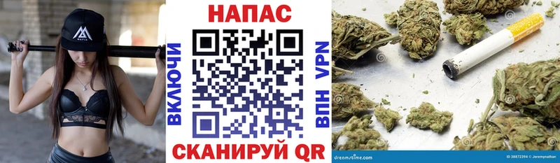 Канабис марихуана  купить  сайты  OMG ссылки  Дмитриев 